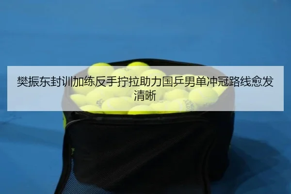 樊振东封训加练反手拧拉助力国乒男单冲冠路线愈发清晰