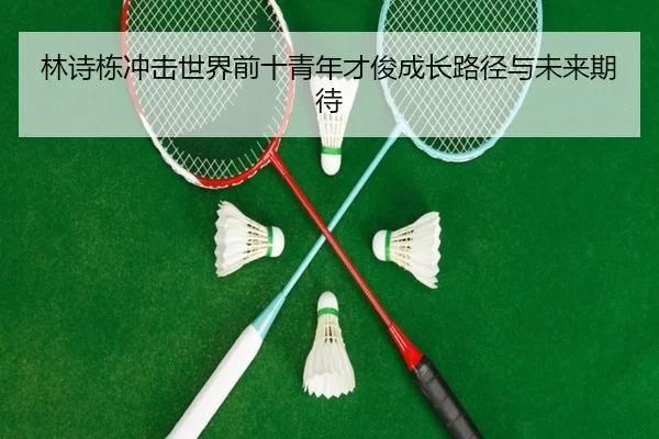 林诗栋冲击世界前十青年才俊成长路径与未来期待